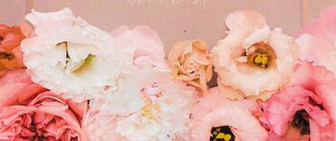 BEUKES-Elani-2023-2023-F_10