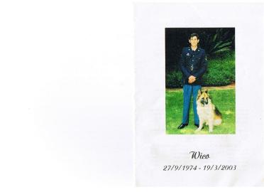 BILJON-VAN-Surnames-Vanne