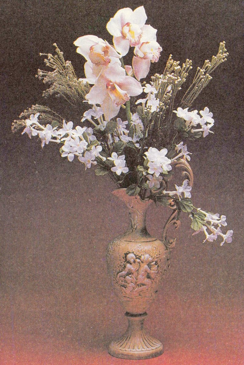 BOTHA-Dewald-1985-1985-M_01