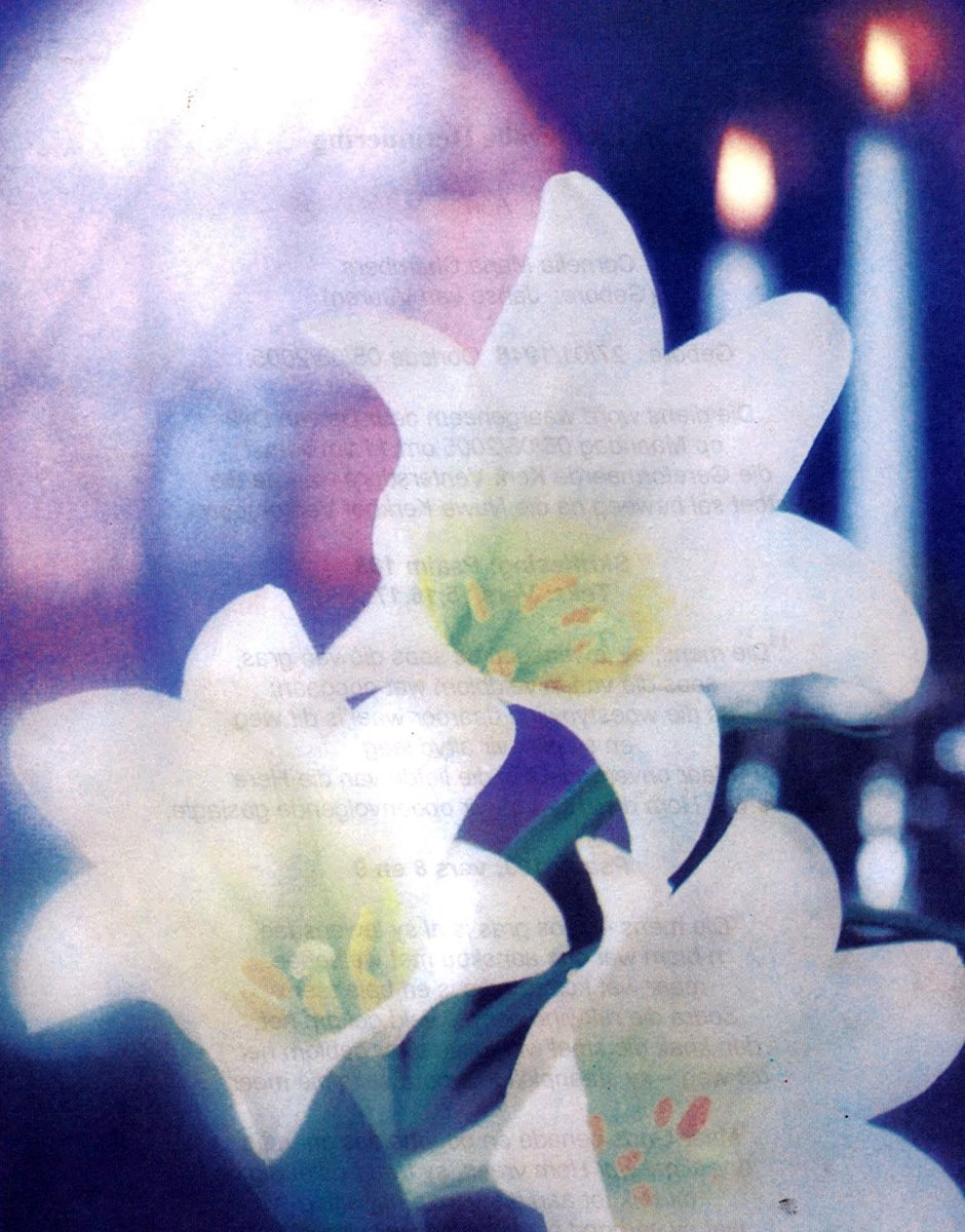 CHAMBERS-Cornelia-Maria-nee-JansenVanVuuren-1948-2005-F_99