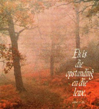 CLAASÉ-Eduard-Hein-1954-1998-M_1