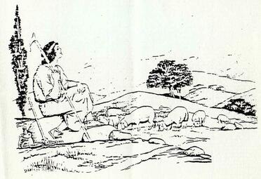 COETZEE-Theunis-Frederick-Jacobus-1928-1991-M_04