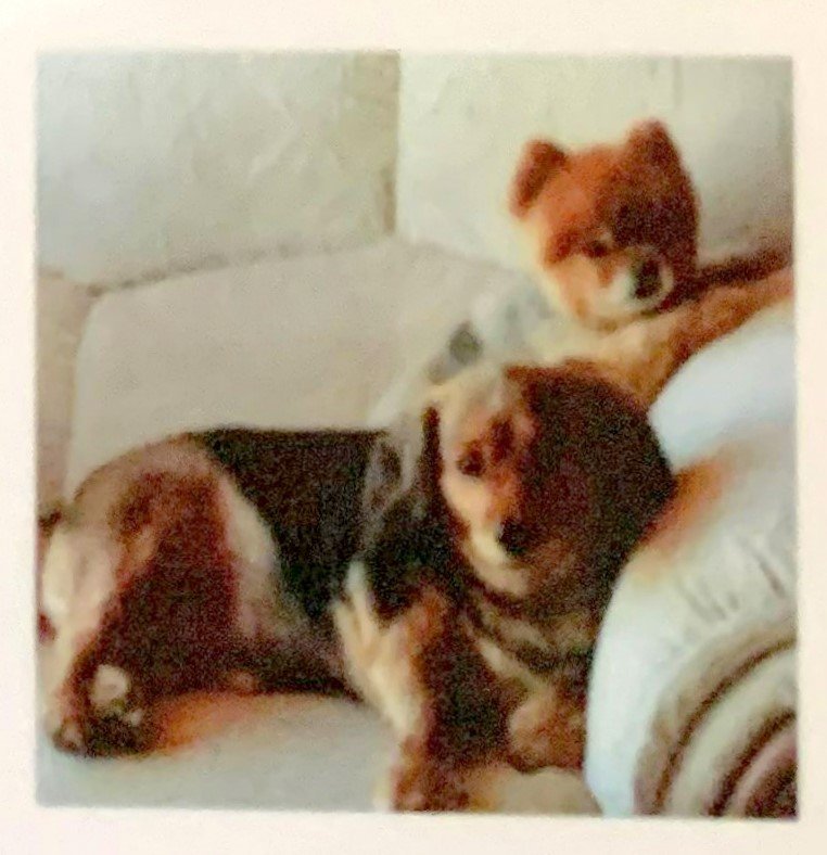 DASSONVILLE-Naas-1946-2022-M_88