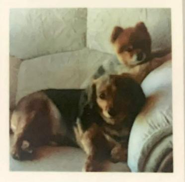 DASSONVILLE-Naas-1946-2022-M_99