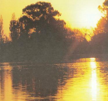 EVERT-Frederika-Wilhelmina-1937-1995-F