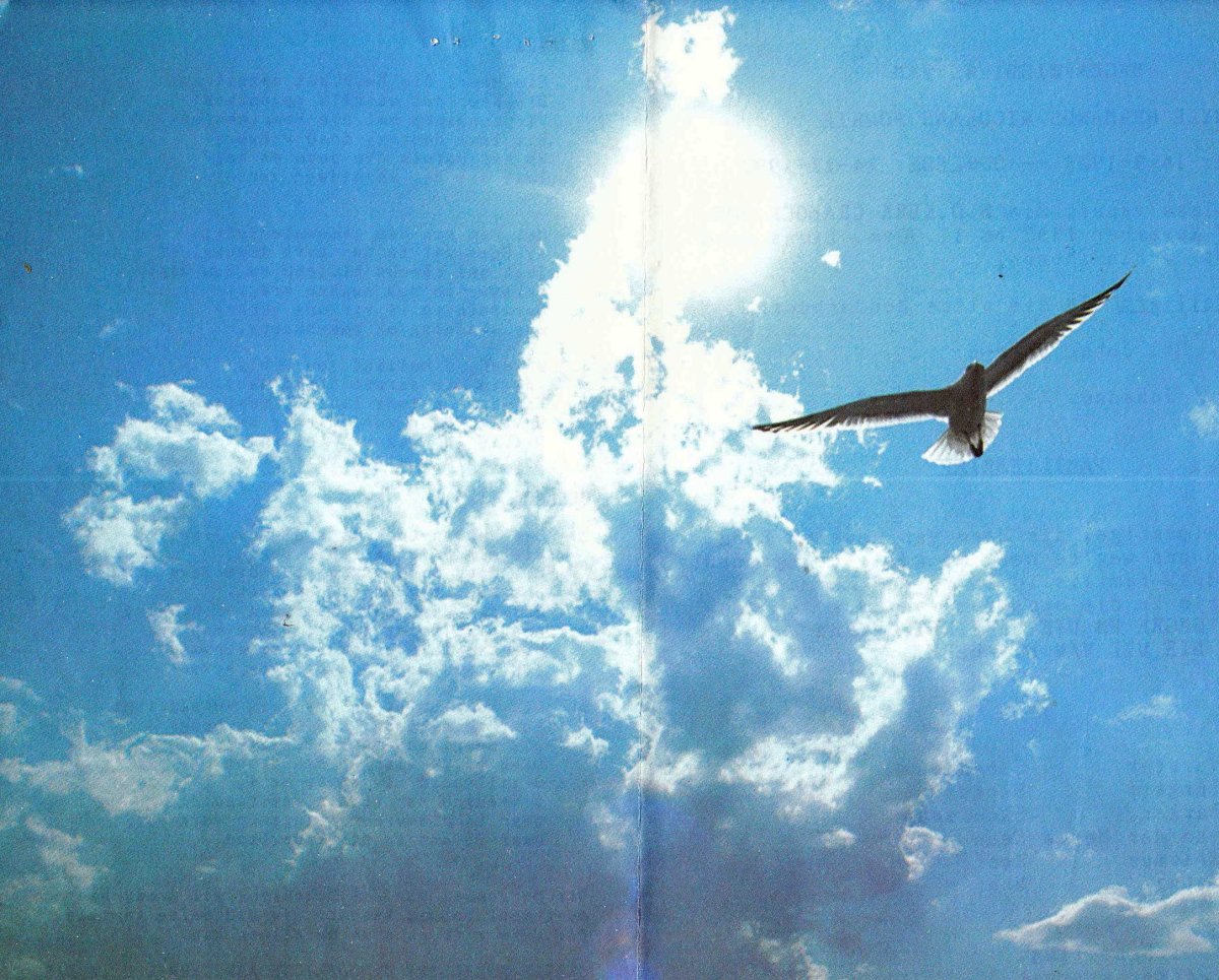 FOURIE-Hermanus-Nicolaas-Nn-Herman-1929-1992-M_1