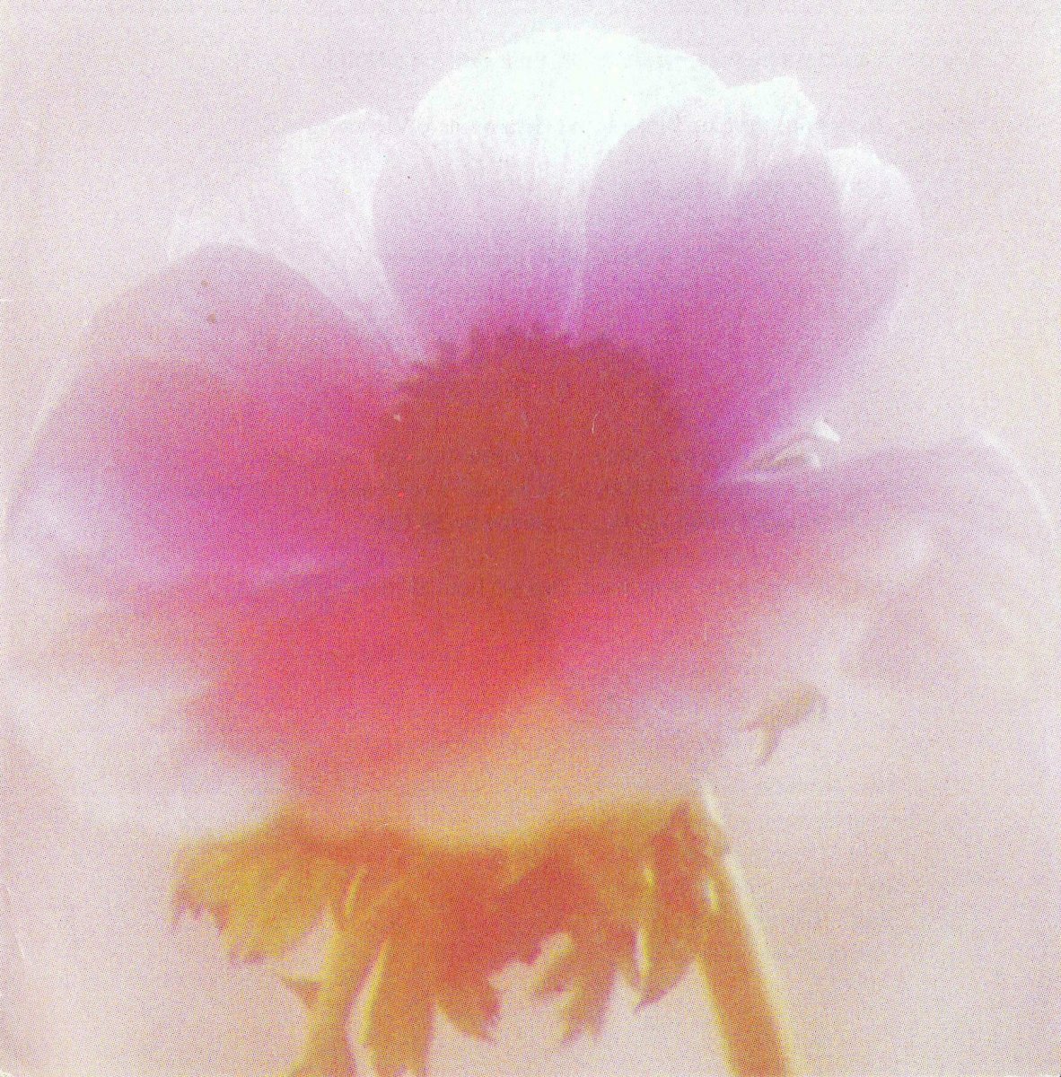 HENERY-Francois-Gabriel-Nn-Francois-1959-1991-M_01