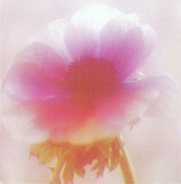 HENERY-Surnames-Vanne