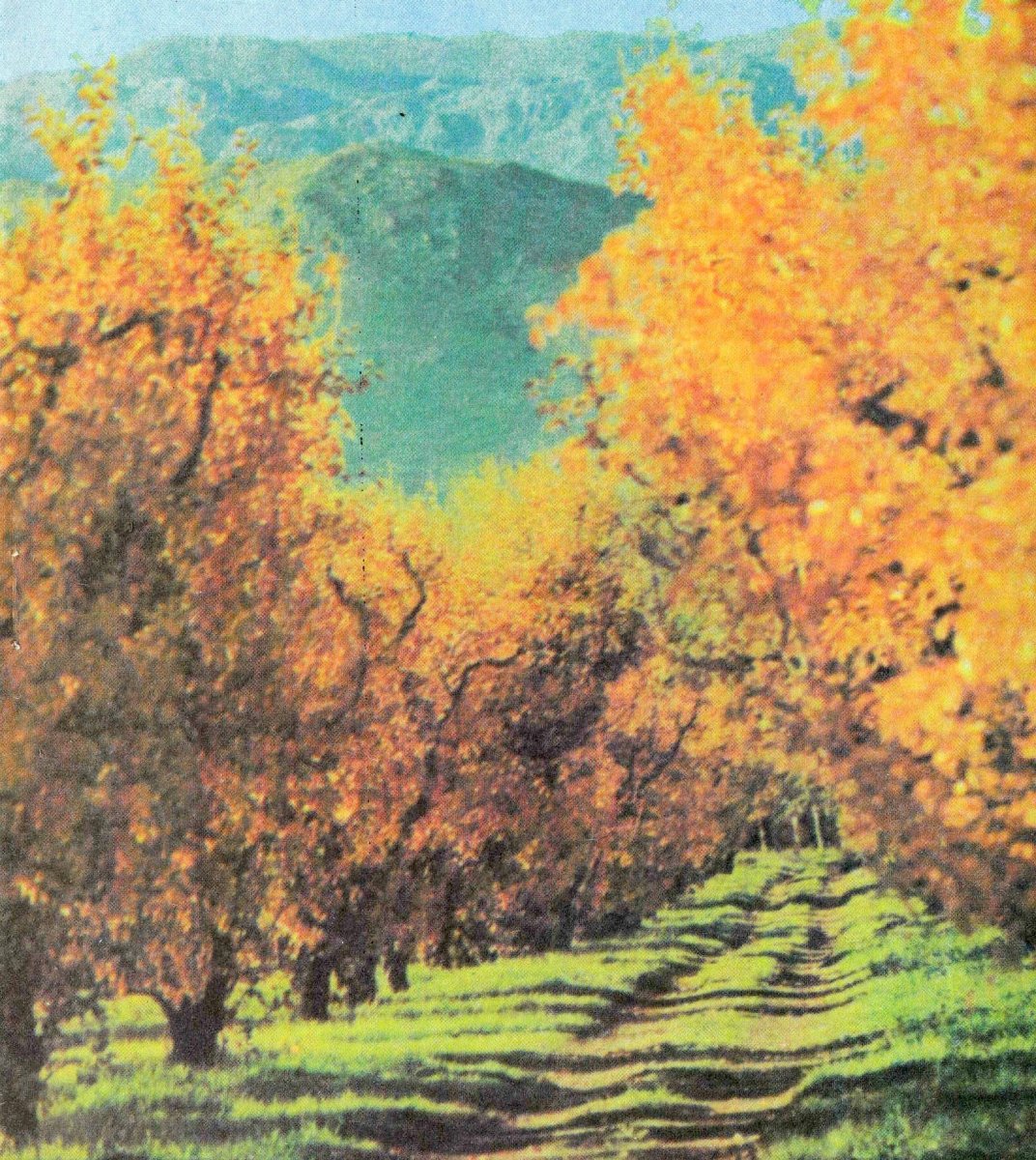 HONIBALL-Martiena-Cornelia-1931-1984-F_01