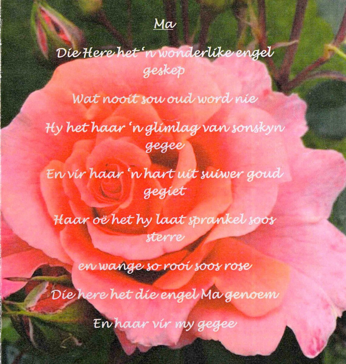 KUIL-VAN-DER-Maria-Martha-Magdalena-Nn-Koseriena-1932-2022-F_05