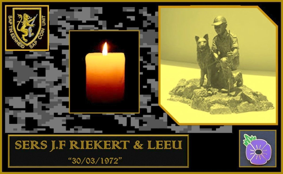 LEEU-0000-1972-K9-Dog_1