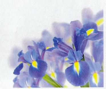 LIEBENBERG-Johanna-Christina-Nn-Christel-1957-2019-F-98