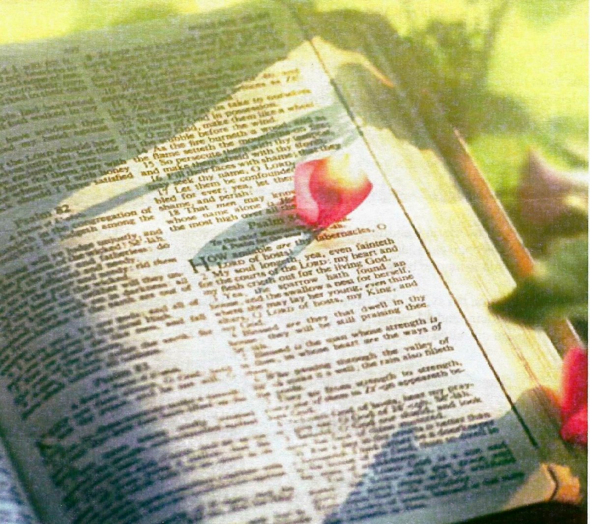 MALAN-Maria-Hendriena-Christina-1927-2007-F_1