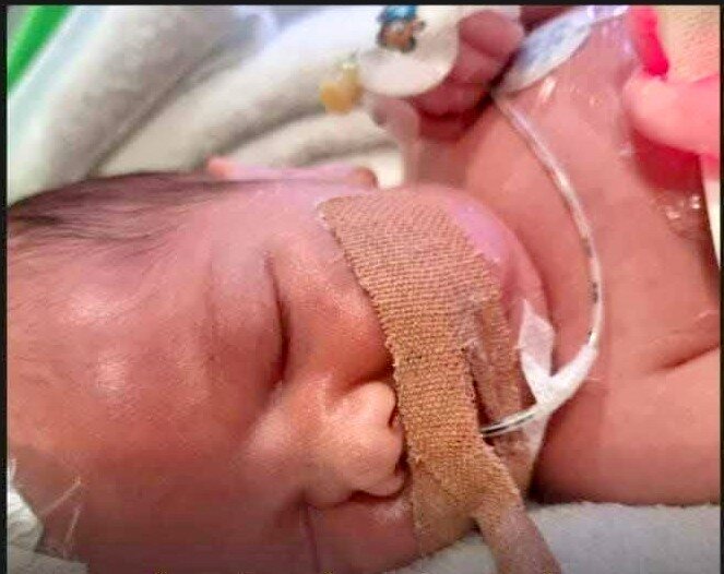 MERWE-VAN-DER-Hilgard-Johannes-2025-2025-M_01