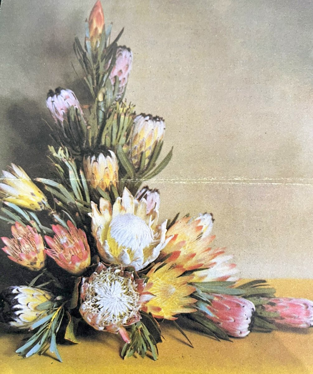 NIEKERK-VAN-Elsa-nee-Nel-1933-1982-F_1