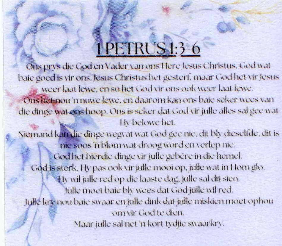 NIEUWENHUIS-Paul-Nn-Goggie-1941-2025-M_04