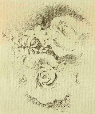 OLIVIER-Andrê-Herman-1951-1995-M