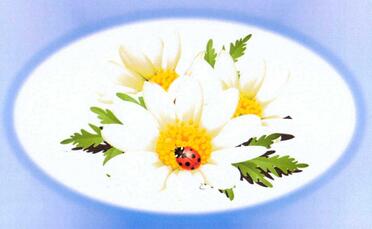 PAXTON-Emmerentia-Nn-Rennie-1929-2019-F_04