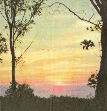 PIENAAR-Willem-Johannes-1955-1981-M