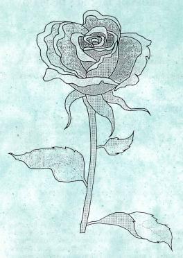 PLOOY-DU-Roelof-Jacobus-Nn-Dolf-1953-1999-M