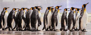 POOL-Janet-Nn-Nettie-1943-2024-F_02