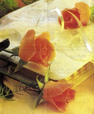 POTGIETER-Jan-Abraham-1919-1996-M