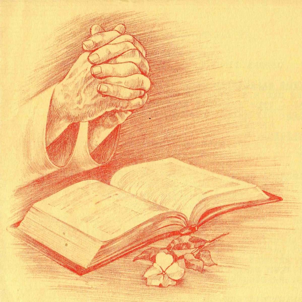 PRETORIUS-Sarah-Gertrude-Nn-Lily-nee-Jenner-1911-1994-F_01