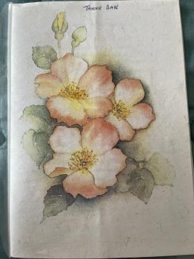 SLABBER-Elsie-Pauline-Nn-Elsie.Babe-1917-2000-F-01