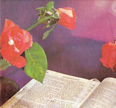 SMIT-Louisa-Susanna-1920-1981-F