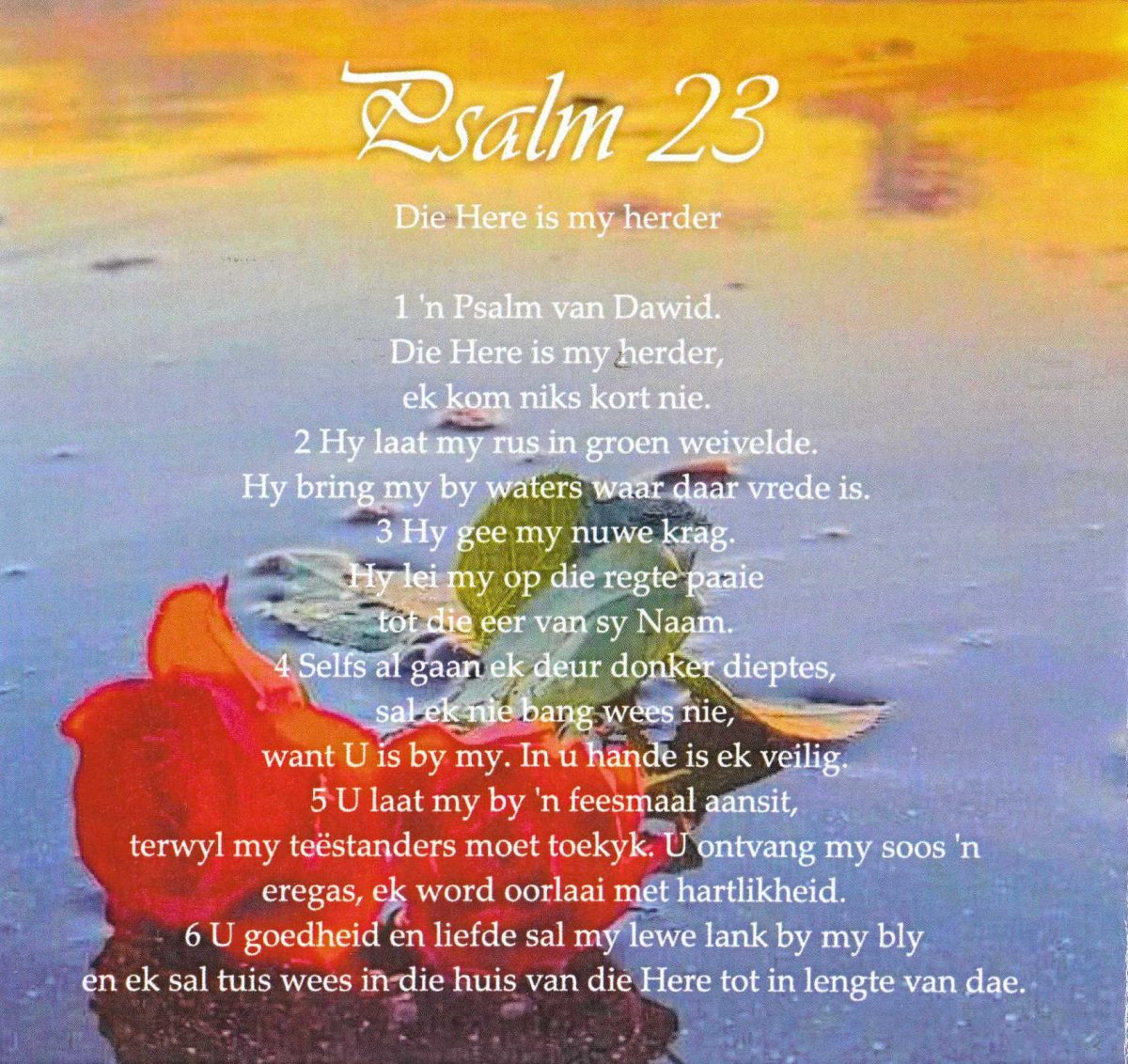 SMITH-Erasmus-Nn-Rassie-1946-2023-M_96