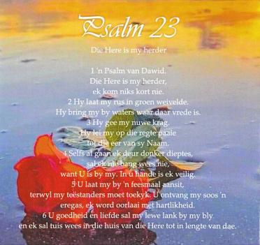 SMITH-Erasmus-Nn-Rassie-1946-2023-M_96