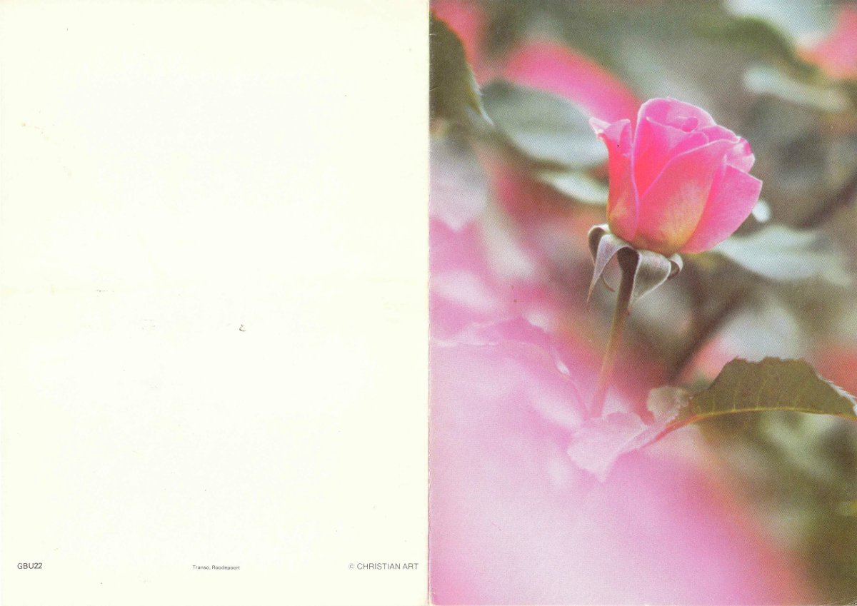 STEYN-Natasha-1988-1991-F-01