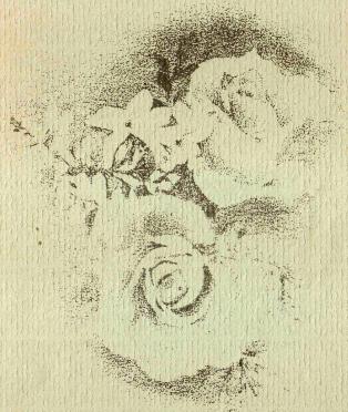 SWART-Aletta-Maria-1938-1994-F