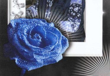 THERON-Alid-1933-2023-F_03