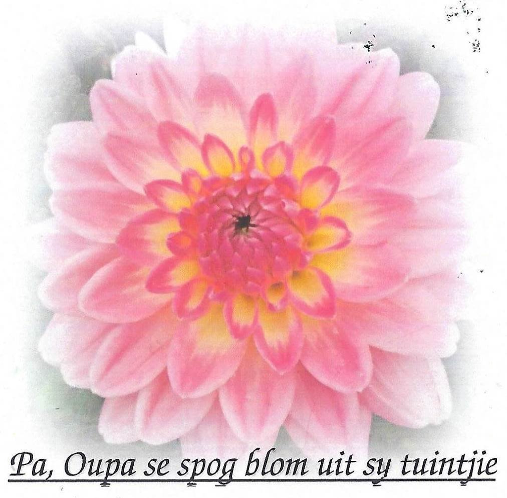 VERMAAK-Gerthardus-1926-2020-M_97