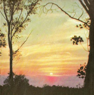 VISSER-Bartolemeus-Jacobus-1924-1981-M