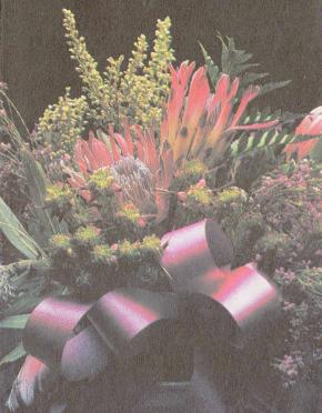 ZYL-VAN-Natalie-1983-1983-F